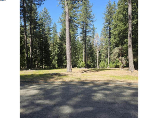 5736 WILDROSE DR, GRIZZLY FLATS, CA 95636 - Image 1