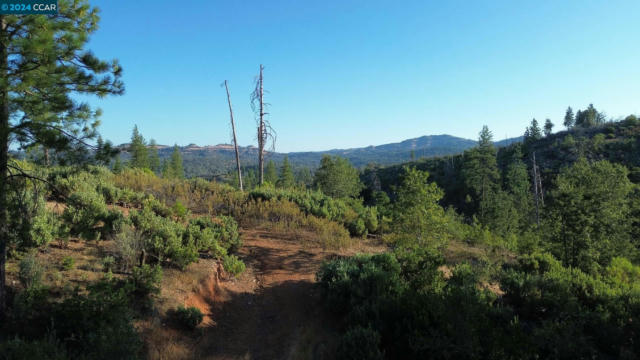 0 FRICOT CITY RD, SHEEP RANCH, CA 95246 - Image 1